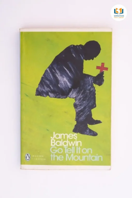 Go Tell it on the Mountain by James Baldwin