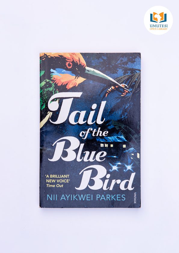 Tale of the Blue Bird by Nii Ayikwei Parkes