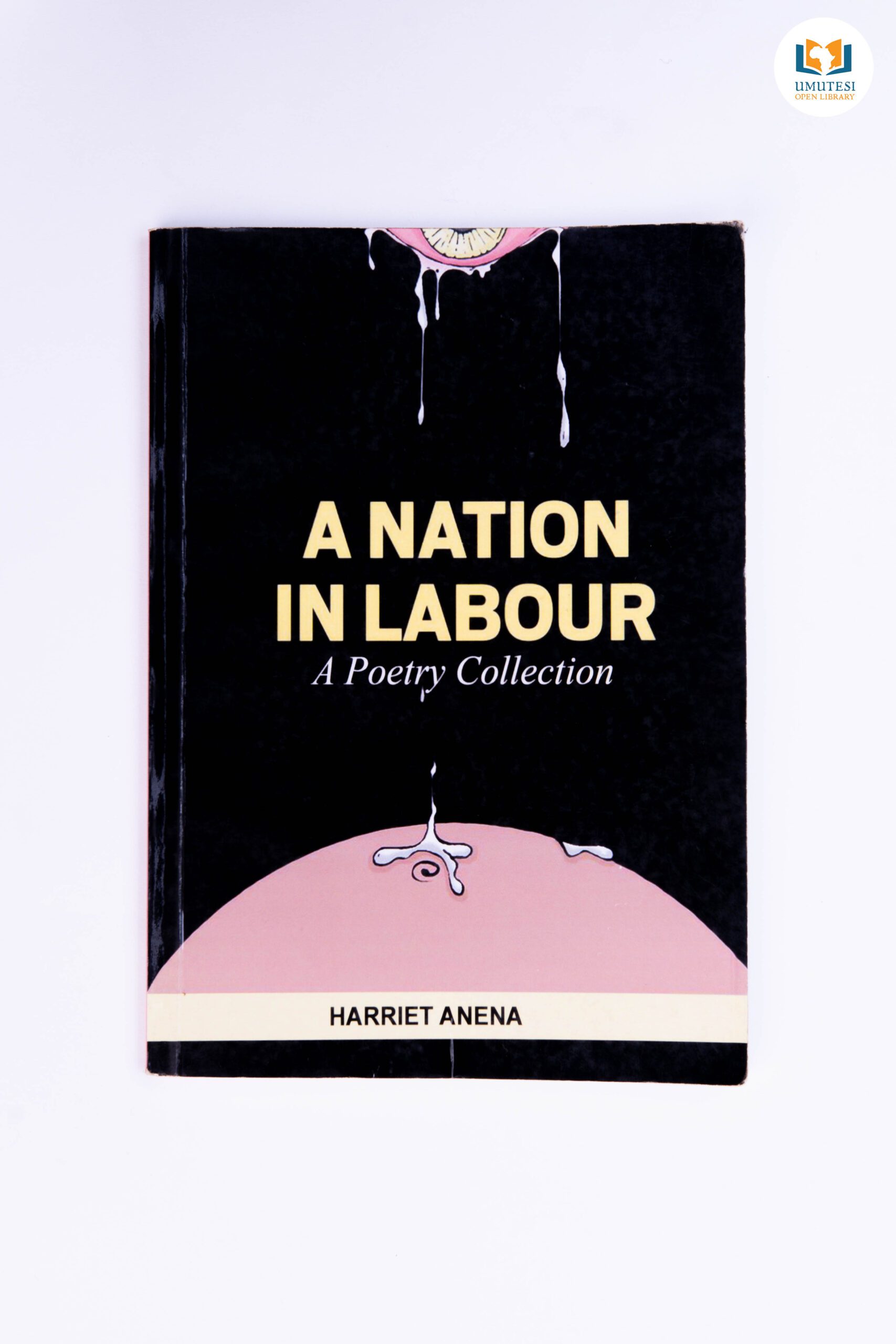 A Nation In Labour by Harriet Anena